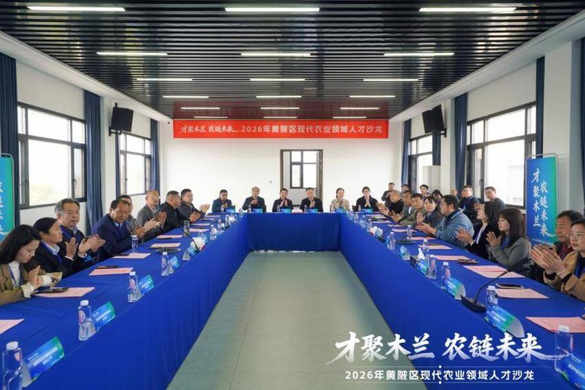 0327新闻稿：黄陂区举办“才聚木兰·农链未来”人才沙龙(2).docx
