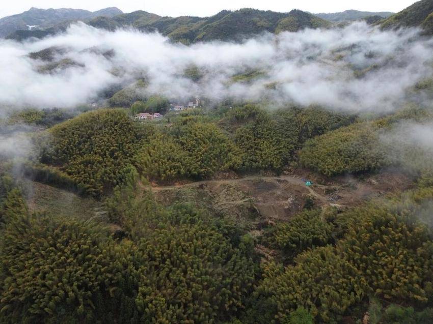 【特别策划】安徽霍山抽蓄电站交通工程的攻坚与红色传承.docx