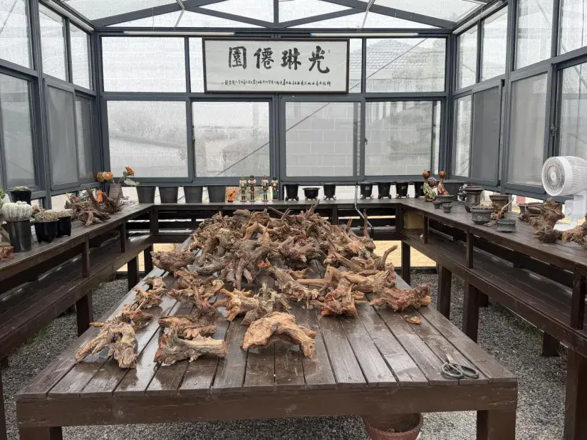 新建 DOCX 文档.docx