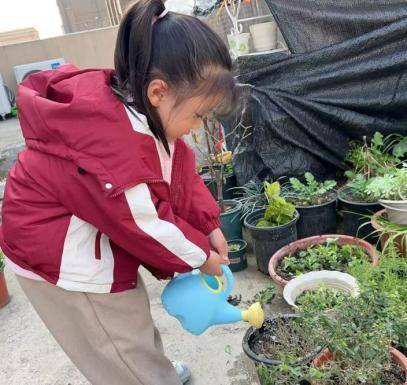 春植萌芽 趣享自然——葛店经开区中心幼儿园张家湾分园2026年春季学期植树节活动.docx