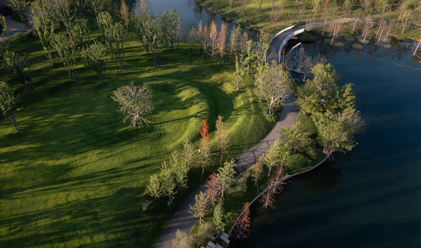 0316麓洲媒体行通稿.docx