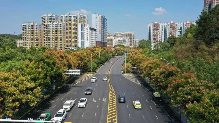 咸宁：着力提升城市品质，为“咸马”保驾护航.docx