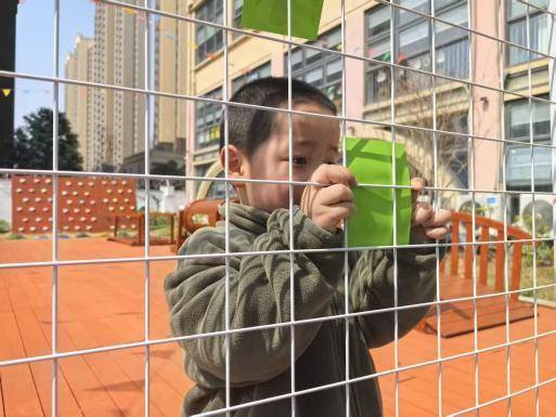 春植萌芽 趣享自然——葛店经开区中心幼儿园张家湾分园2026年春季学期植树节活动.docx