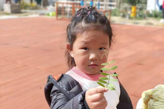 春植萌芽 趣享自然——葛店经开区中心幼儿园张家湾分园2026年春季学期植树节活动.docx