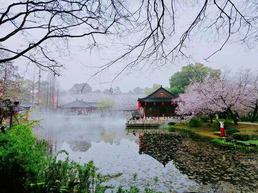 清明假期乘坐“新城快线”，一键直达武鄂黄黄春天花海（4.3日修改定）.docx