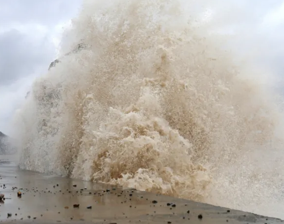 【特别策划】抗16级台风记.docx