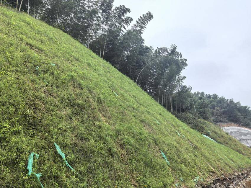 【特别策划】岩石披绿装，弃渣场“变身”(1).docx