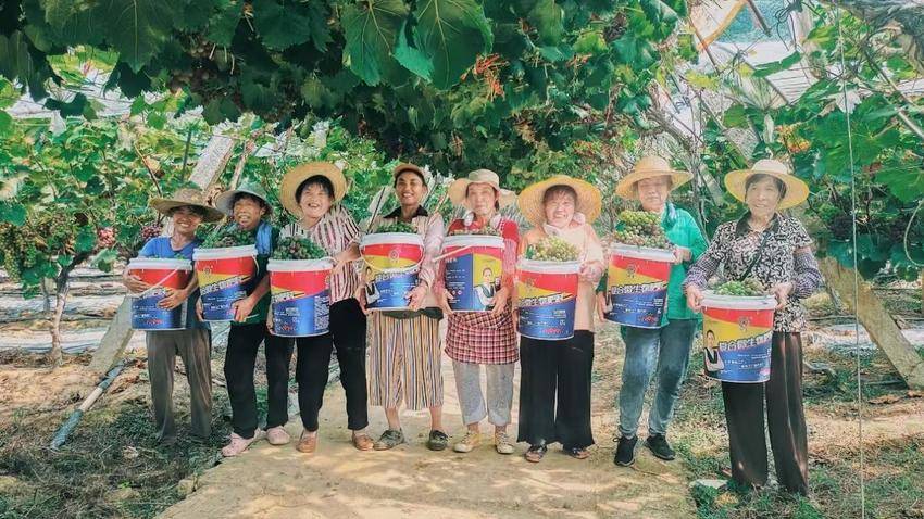 仙岛湖畔的“屯鸟妈妈”.docx