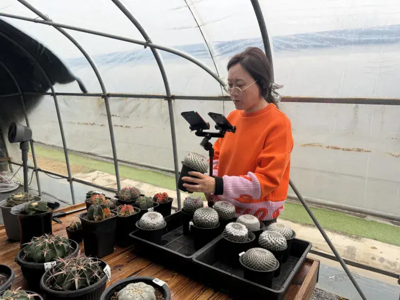 新建 DOCX 文档.docx