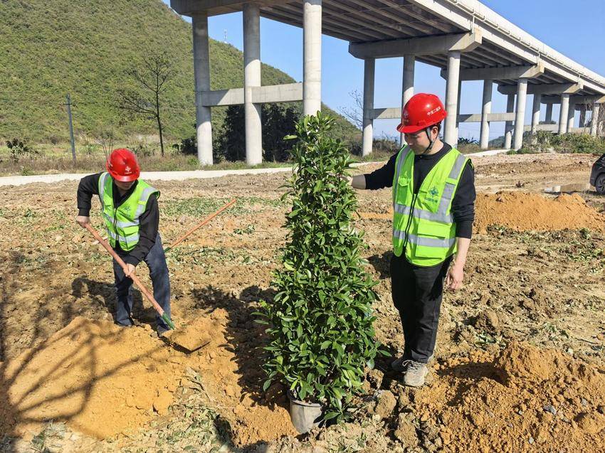 【一线传声】中交二航局罗鹿高速项目开展植树节活动.docx