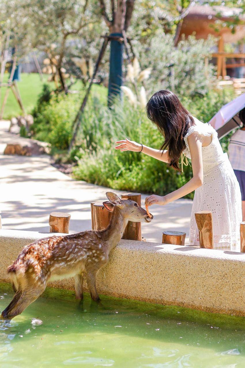 0316麓洲媒体行通稿.docx