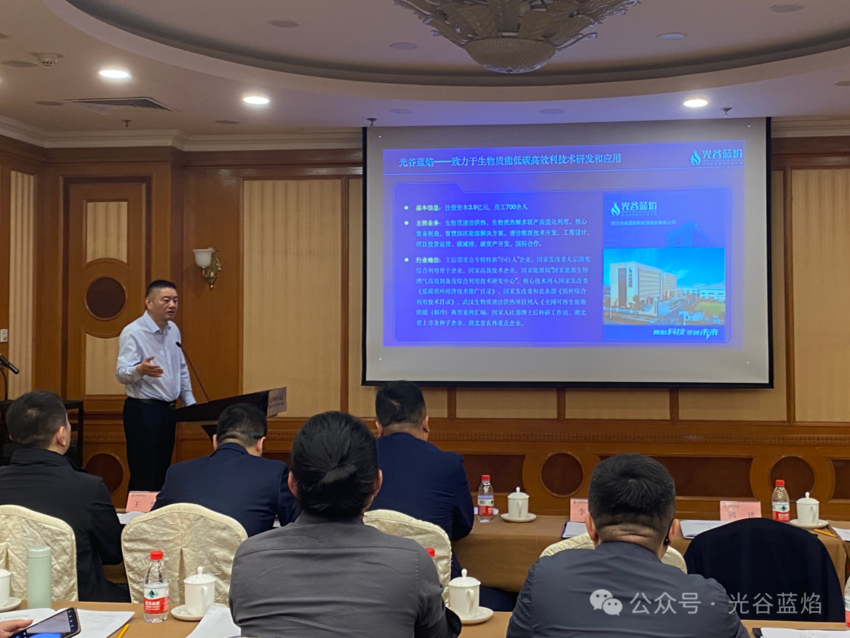 蓝焰集团(1)(1).docx