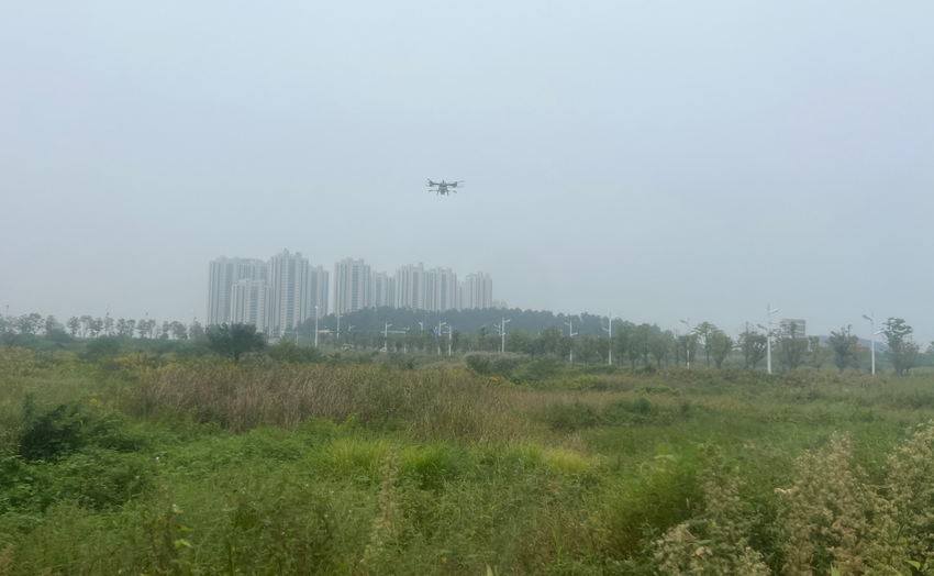 111115村抱团“钱”景旺！这家强村公司年增收近400万出圈.docx