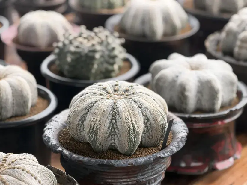 新建 DOCX 文档.docx