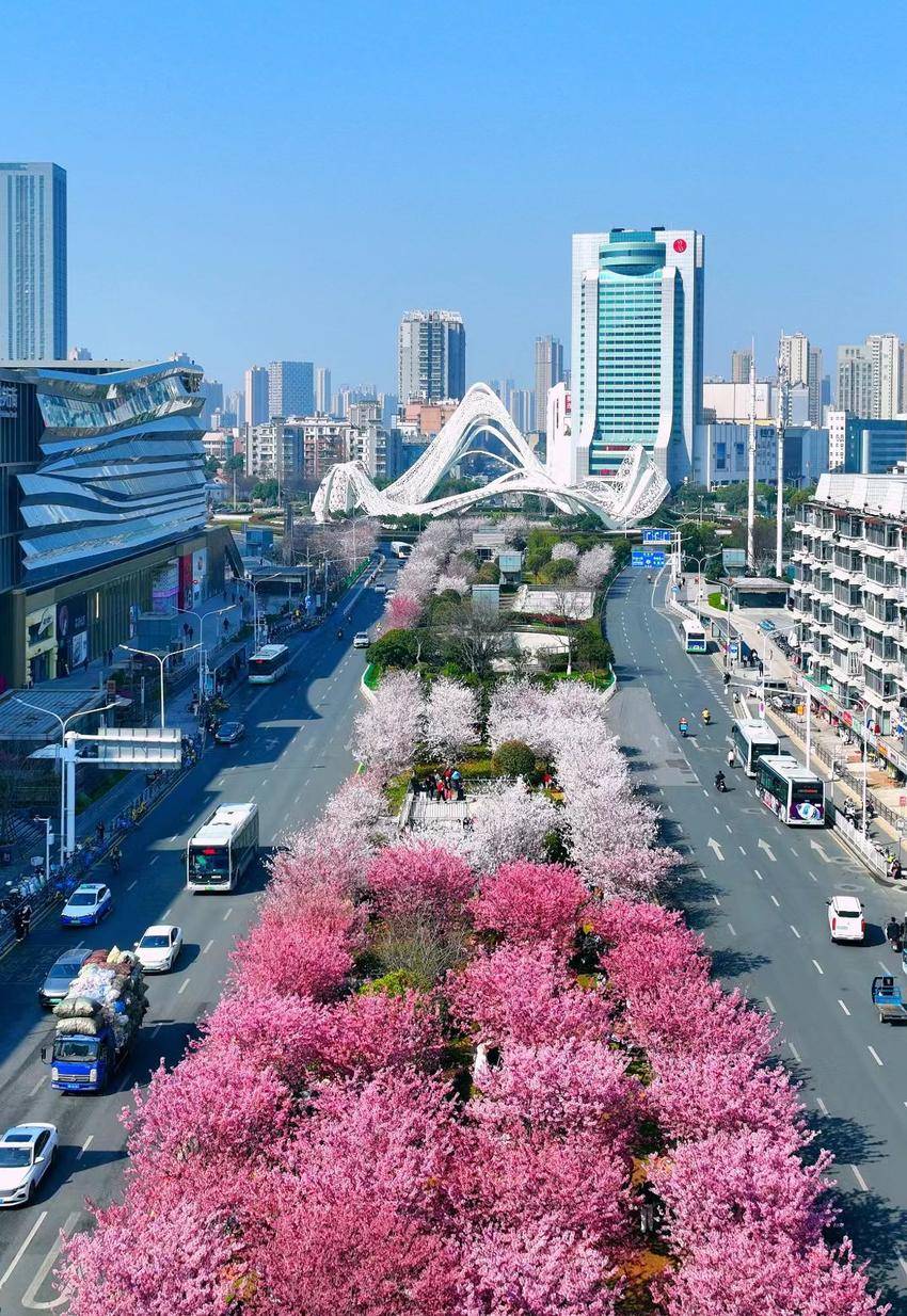 珞瑜东路光谷广场