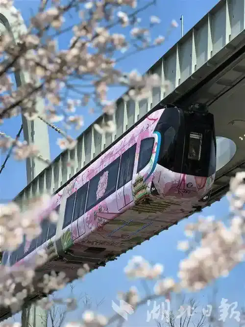 光谷空轨和樱花