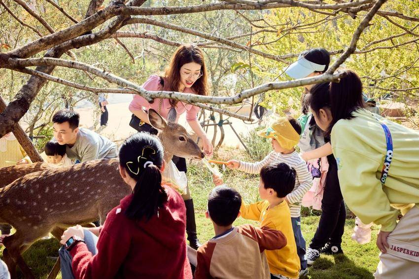 0316麓洲媒体行通稿.docx