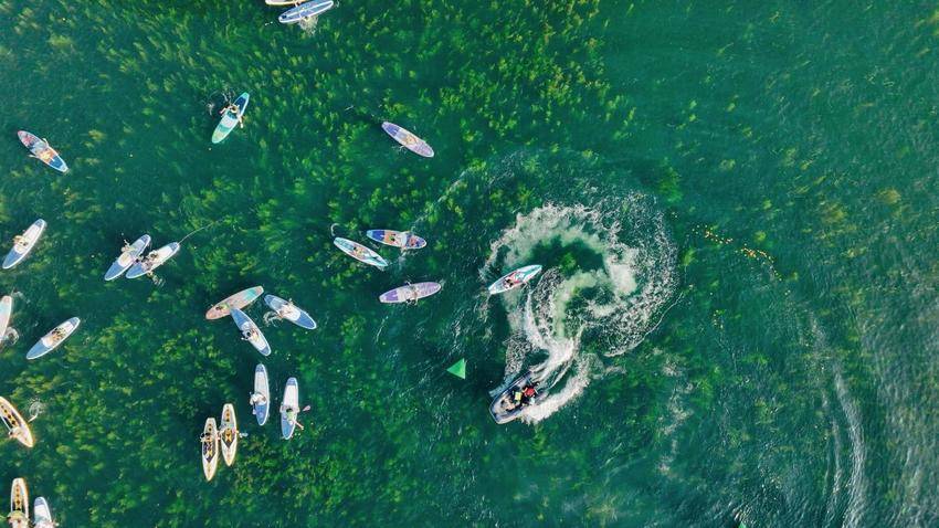 0316麓洲媒体行通稿.docx