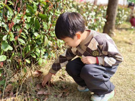 春植萌芽 趣享自然——葛店经开区中心幼儿园张家湾分园2026年春季学期植树节活动.docx