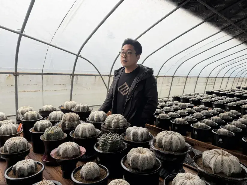 新建 DOCX 文档.docx