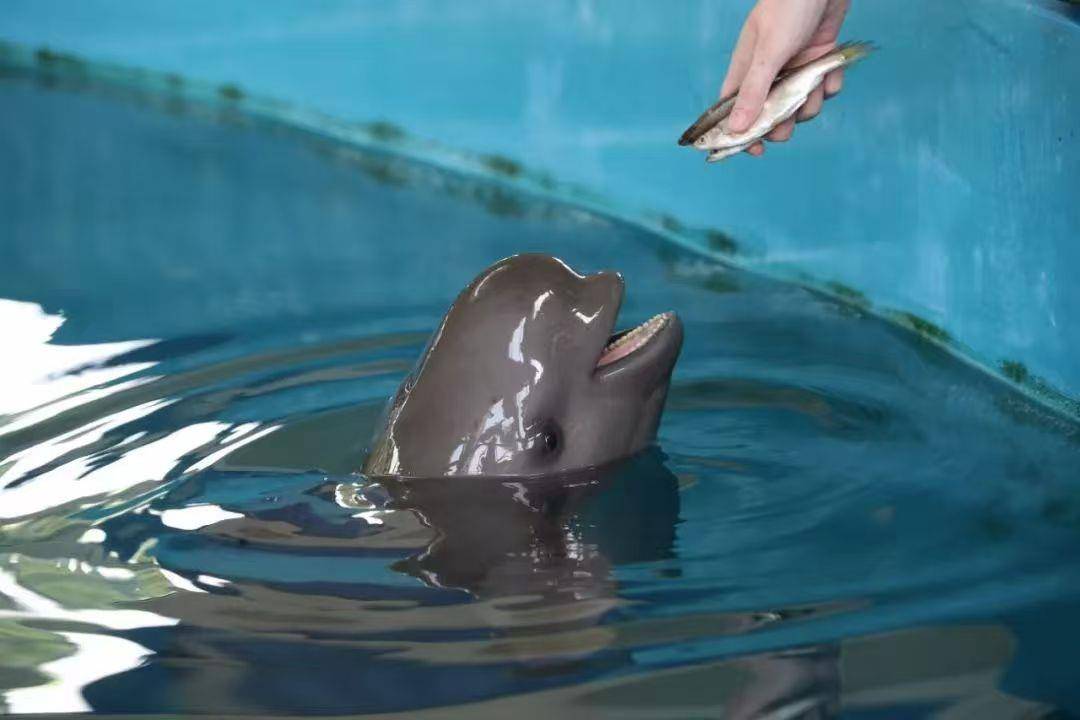 mmexport1753769480164.jpg mmexport1753769480164.jpg