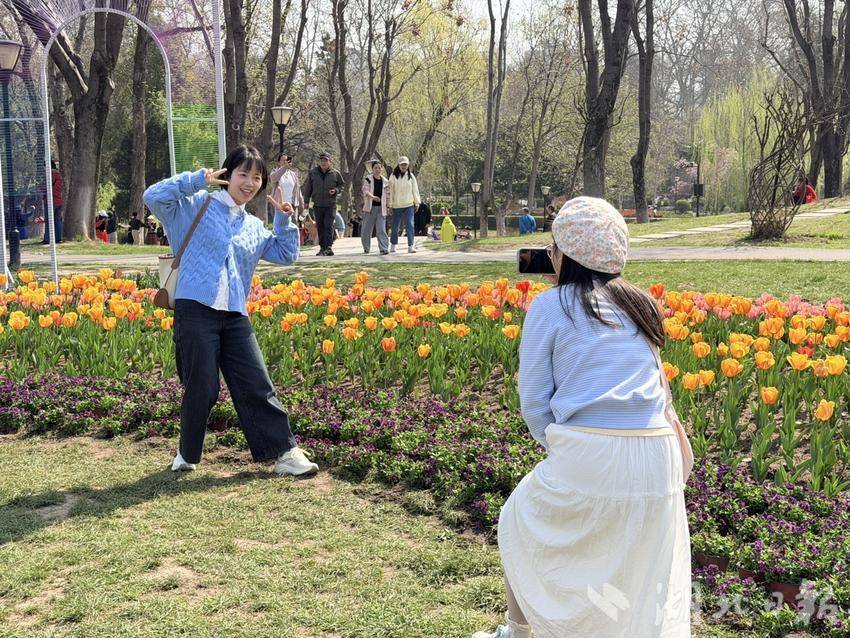 175d0e2517b039d8341b654bd834a6da.jpg 175d0e2517b039d8341b654bd834a6da.jpg