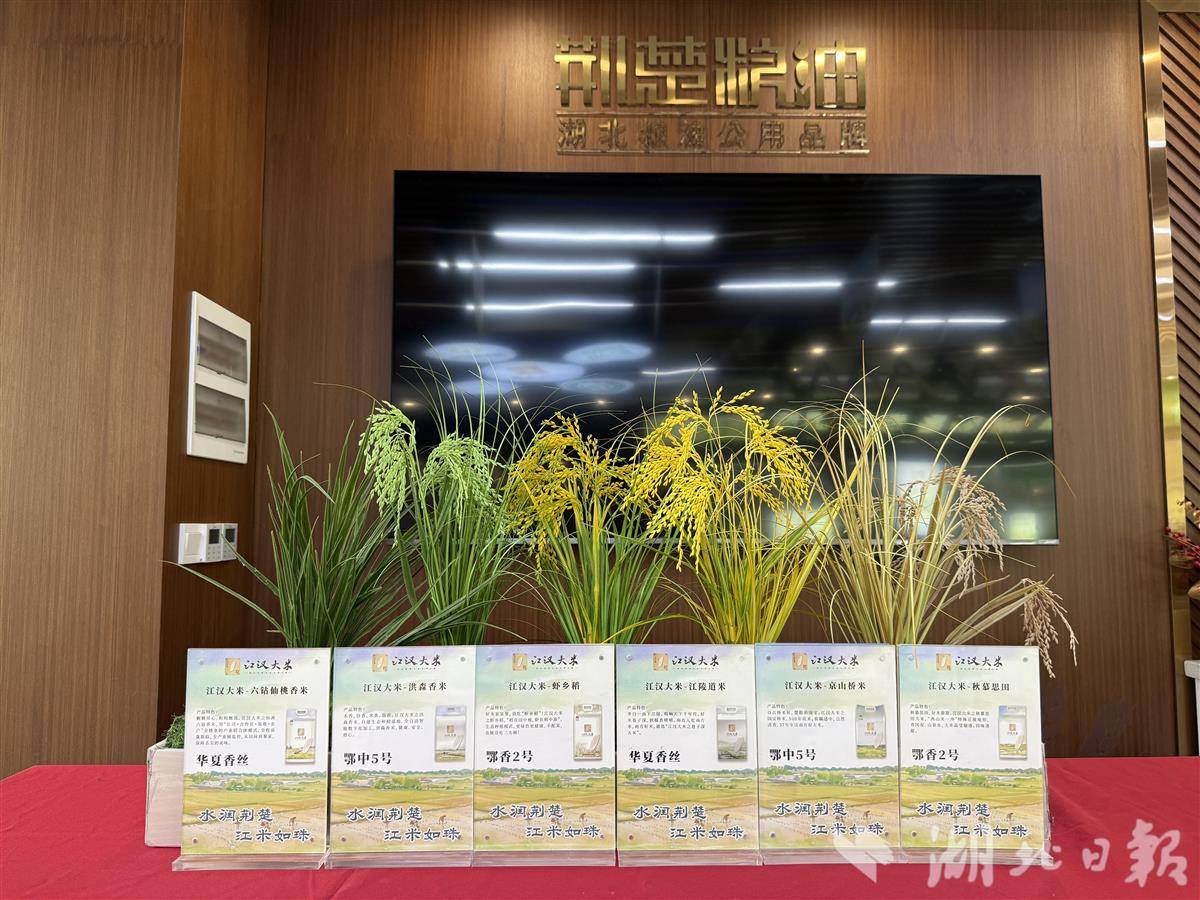 IMG_1868.JPG IMG_1868.JPG