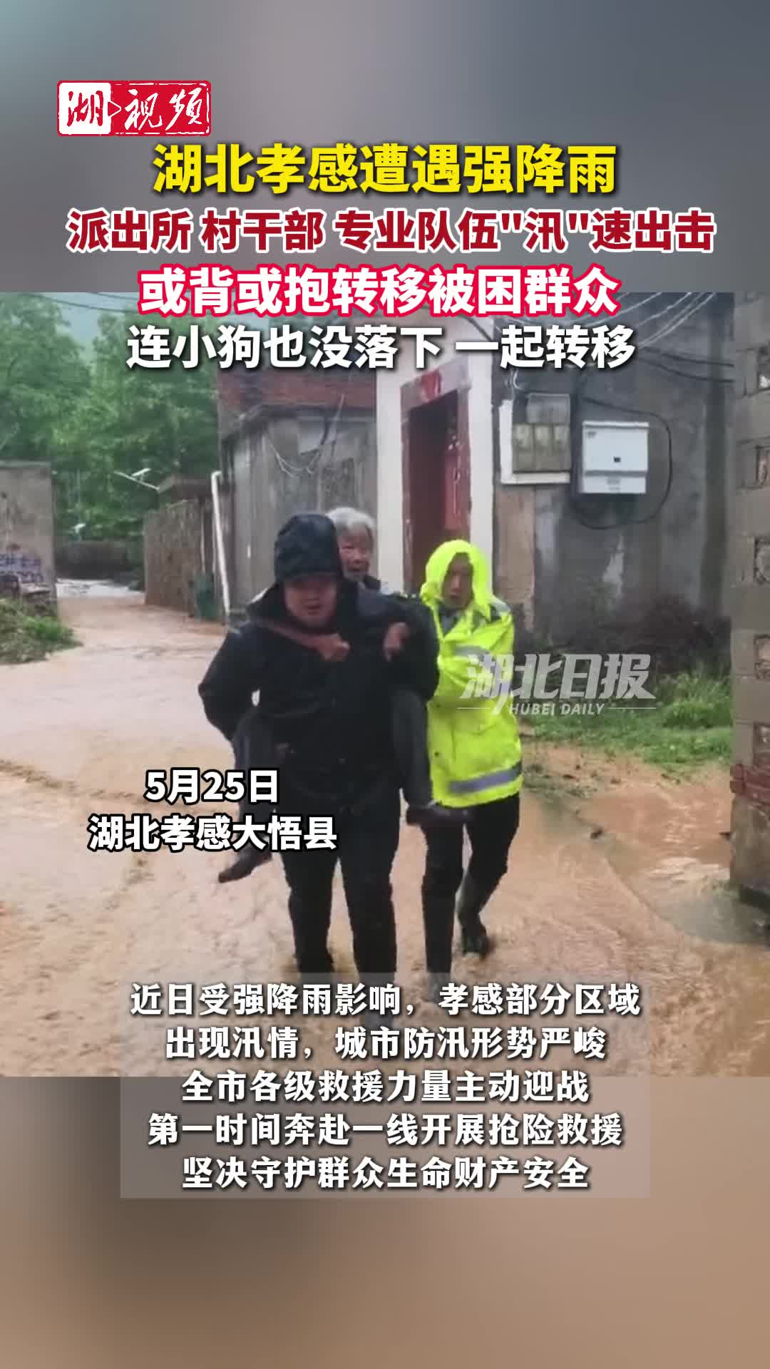 湖北孝感遭遇强降雨 当地迅速转移被困群众 连小狗也没落下