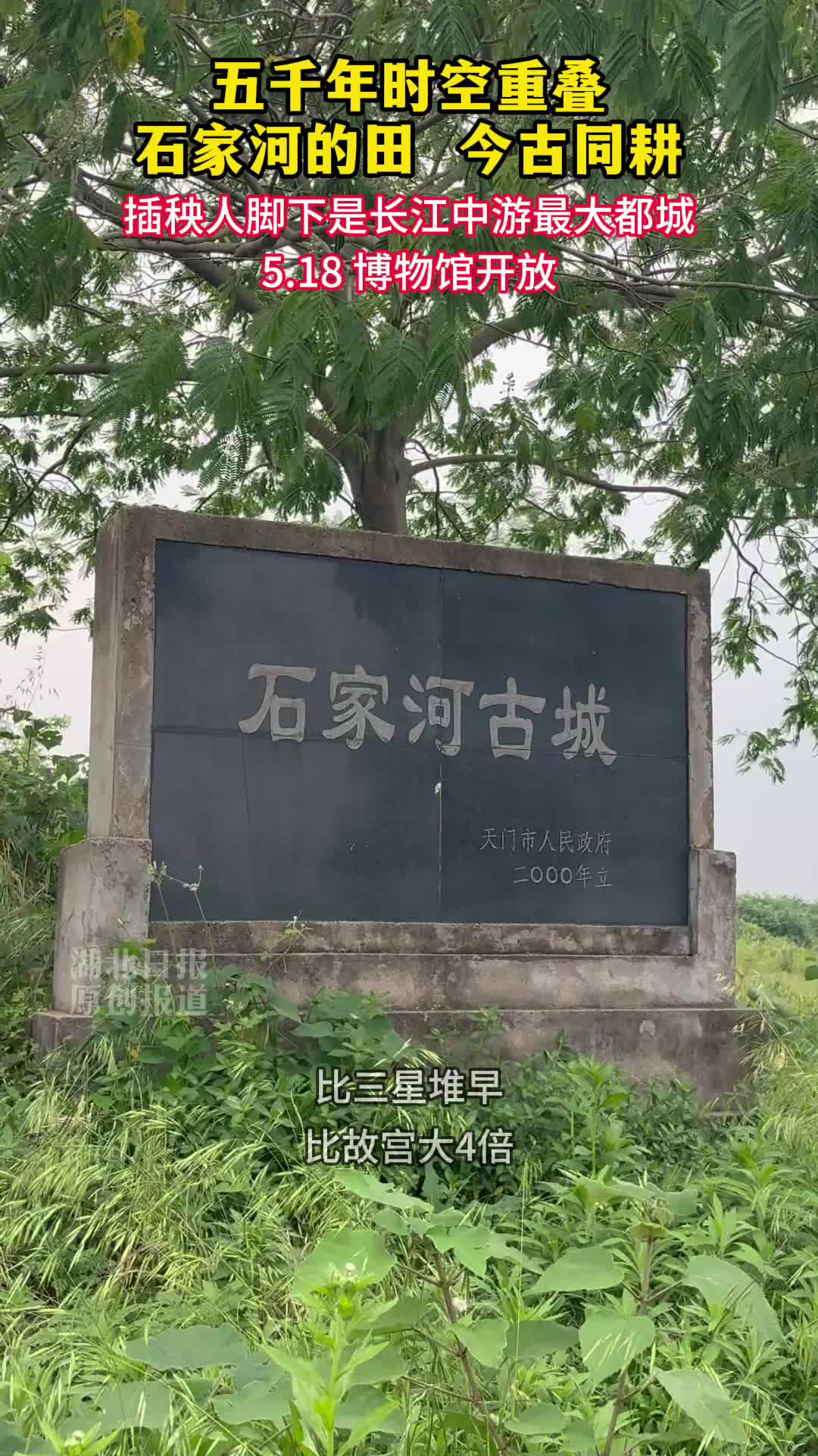 五千年时空重叠｜石家河的田，今古同耕
