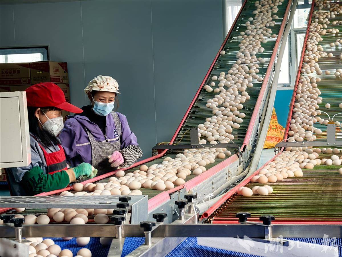 微信图片_20251215150158_194_344.jpg 微信图片_20251215150158_194_344.jpg