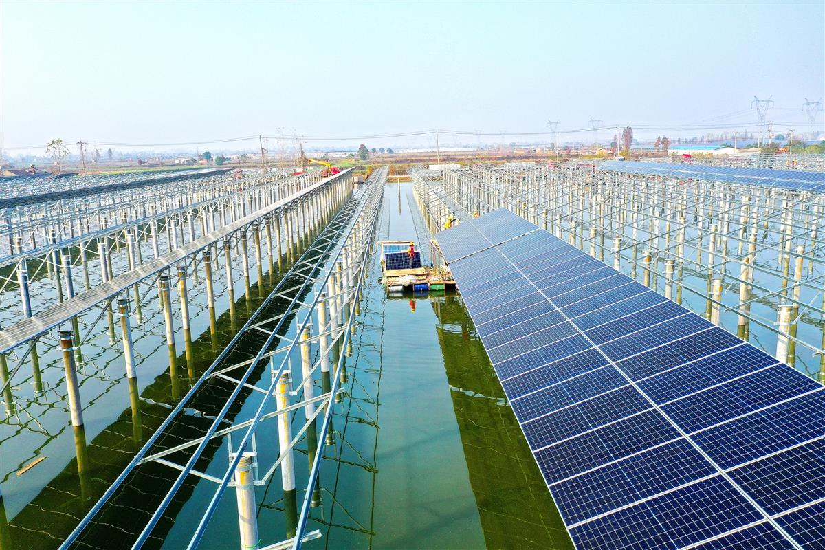 "渔光互补"绿色产业助力乡村振兴 - 湖北日报新闻客户端