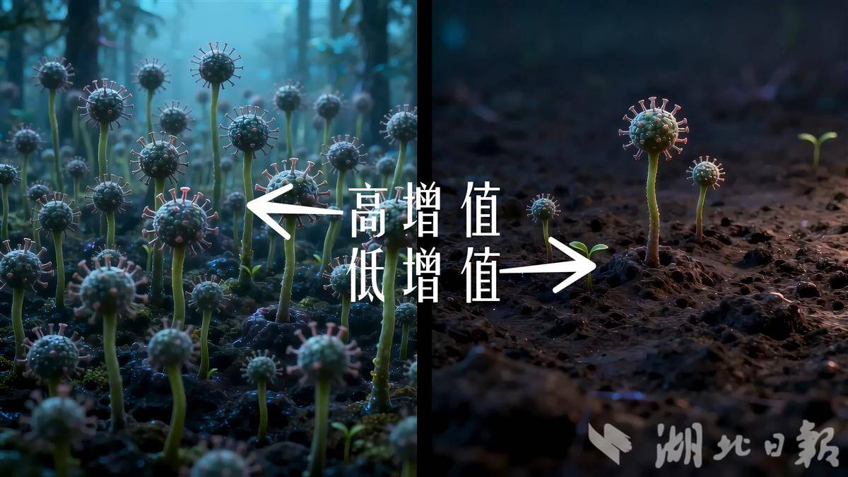 静帧 2026-03-19 144418_2.8.1.jpg 静帧 2026-03-19 144418_2.8.1.jpg