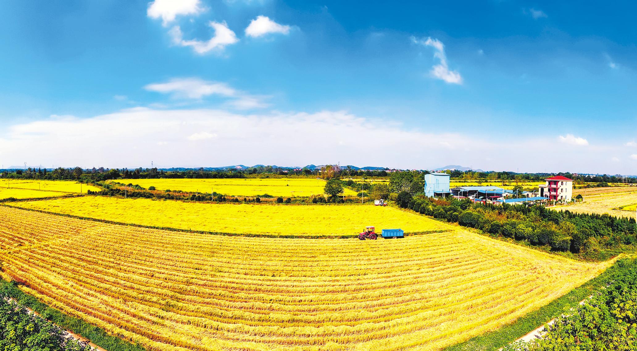 田畴织锦绣沃野好风光2021年湖北农业农村工作荆彩回眸