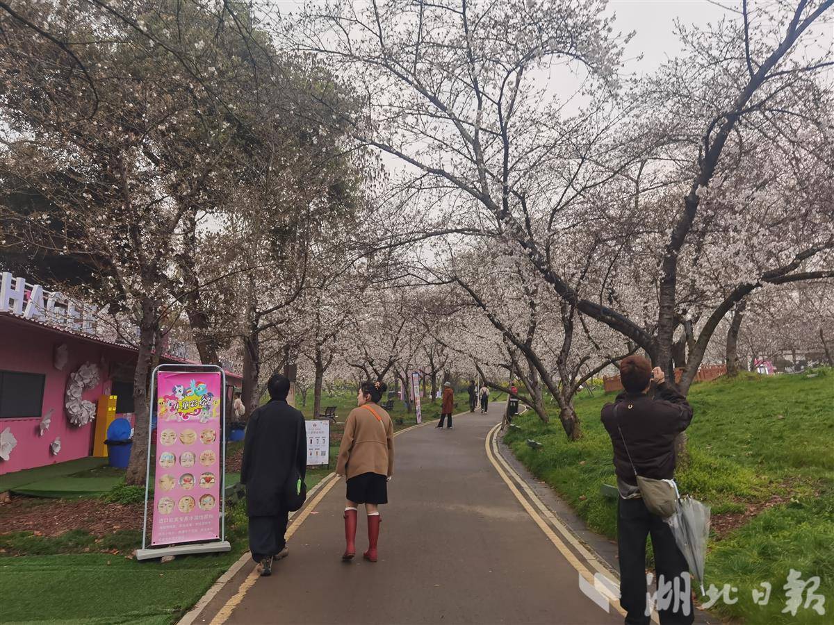 a8de17b523c744935e5174738fa38bd9.jpg a8de17b523c744935e5174738fa38bd9.jpg