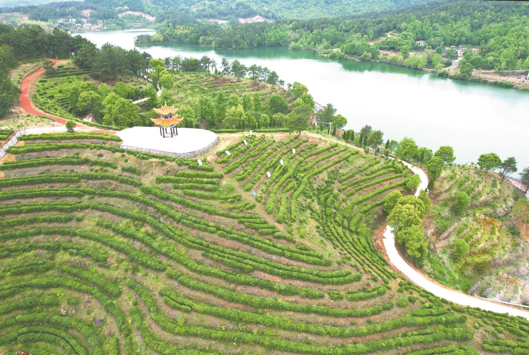 团风牛车河风景区图片