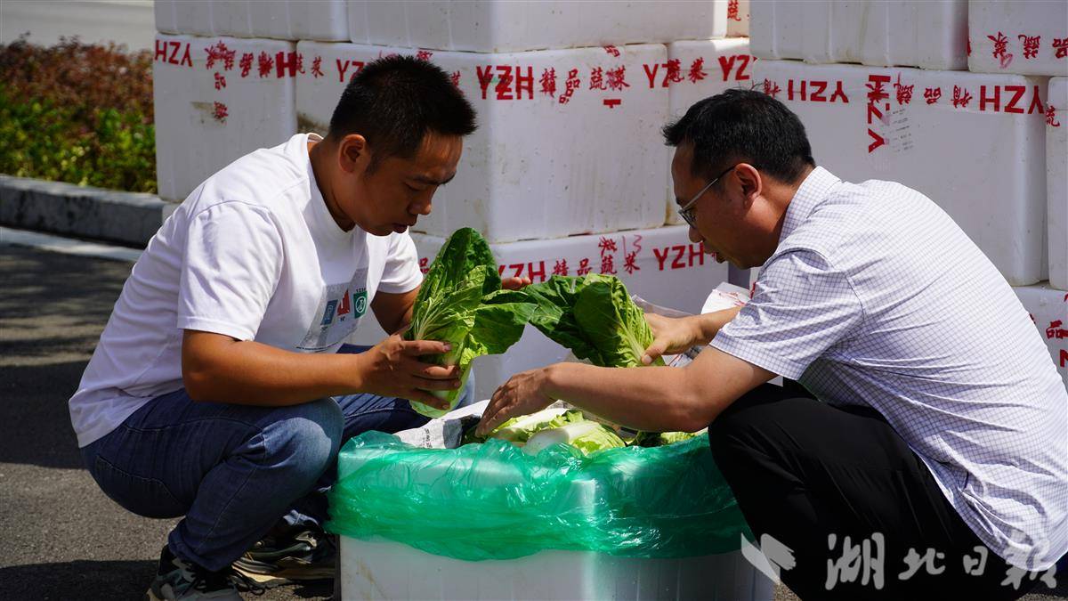 微信图片_2025-08-15_170143_382.jpg 微信图片_2025-08-15_170143_382.jpg