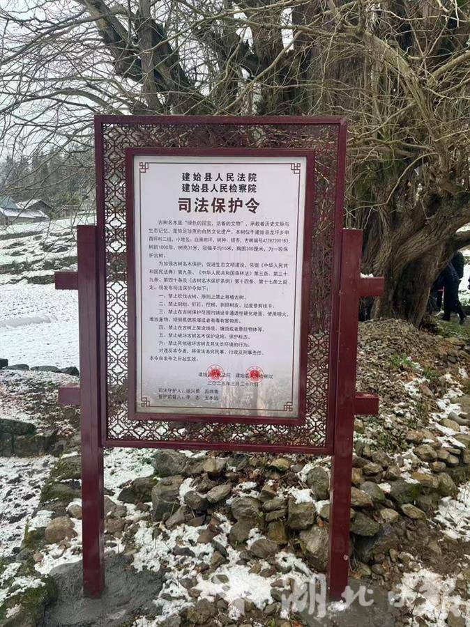 司法保护令标牌。