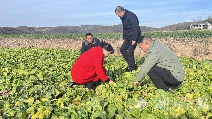 加强田间调查docx.docx