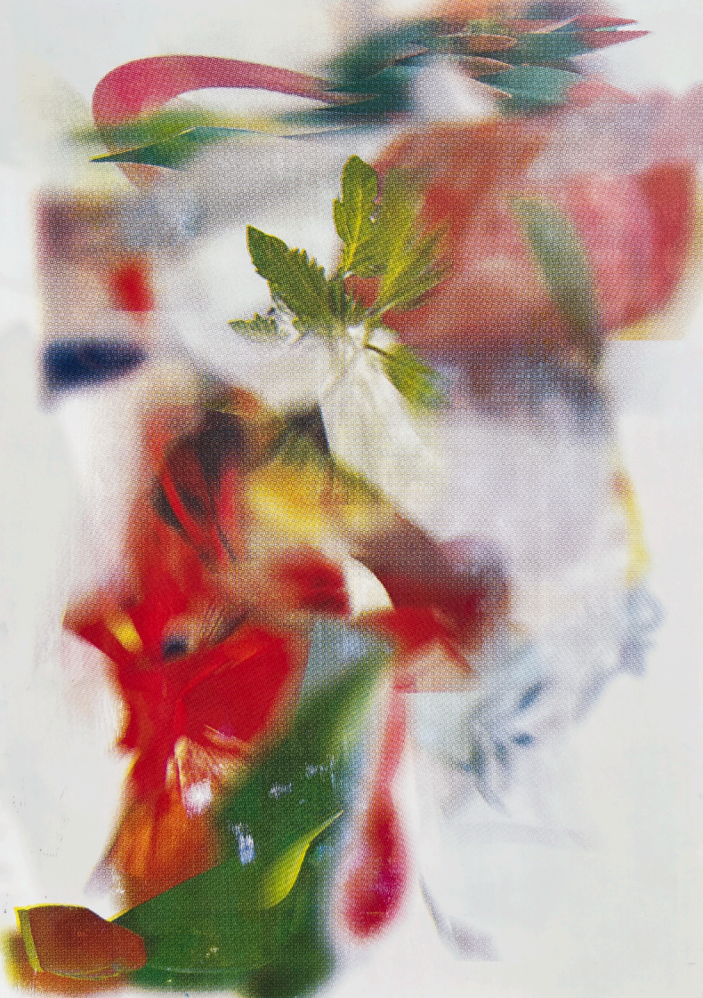 彭家乐  认知7  91×65cm  版画  丝网版  2024  日本东京艺术大学.png 彭家乐  认知7  91×65cm  版画  丝网版  2024  日本东京艺术大学.png