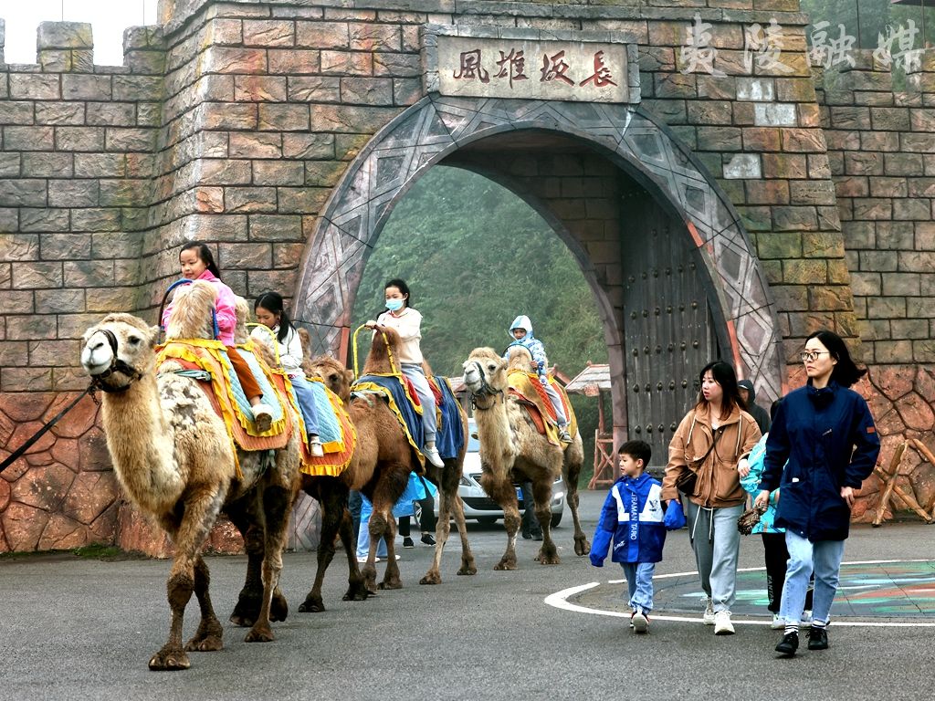 烟雨夷陵迎宾客 安心畅游度"双节"_宜昌市夷陵区三斗坪镇石牌村村喇叭
