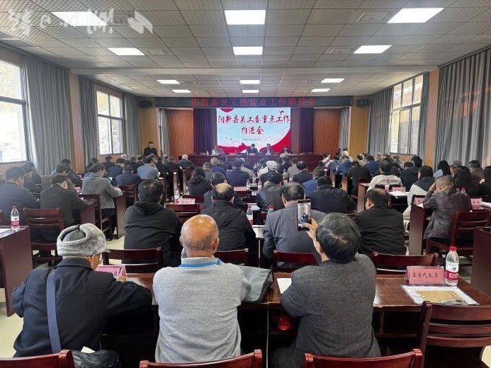 阳新县关工委重点工作现场推进会在王英镇召开.docx