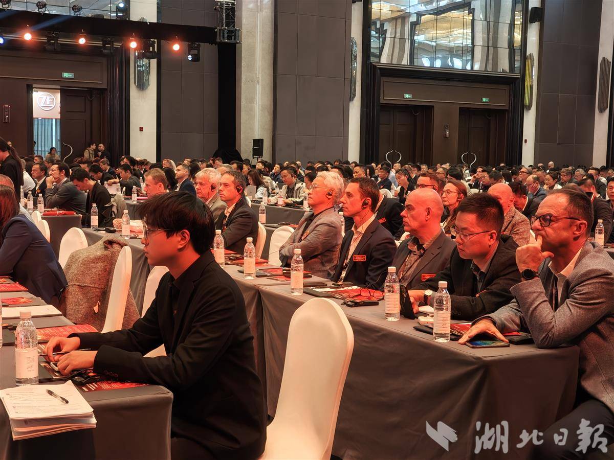 002 大会会场。湖北日报全媒记者 汪洋 摄.jpg
