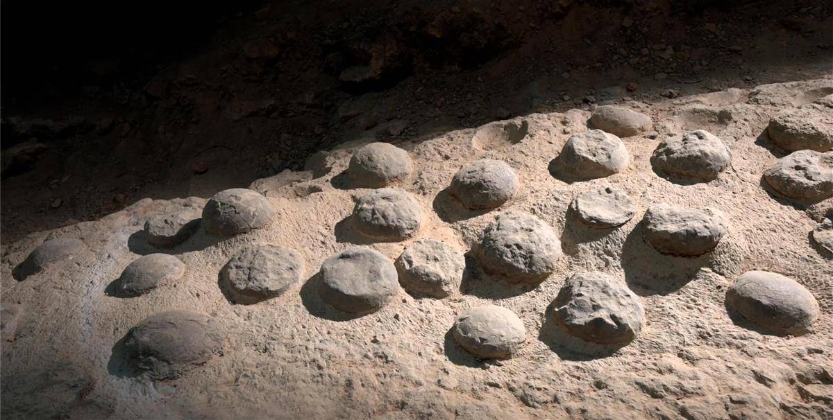 位于湖北省十堰市郧阳区的青龙山恐龙蛋化石群以其分布最为集中、密度最大、埋藏最好、原地出露最多、原址保存最好，被公认为世界上规模最大的恐龙蛋化石群。科学家初步估算，青龙山一带的恐龙蛋化石保守储藏有30余万枚。 (8).jpg