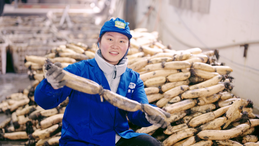 51ea07e0-7888-4add-b345-c7c55f40d821.png 51ea07e0-7888-4add-b345-c7c55f40d821.png