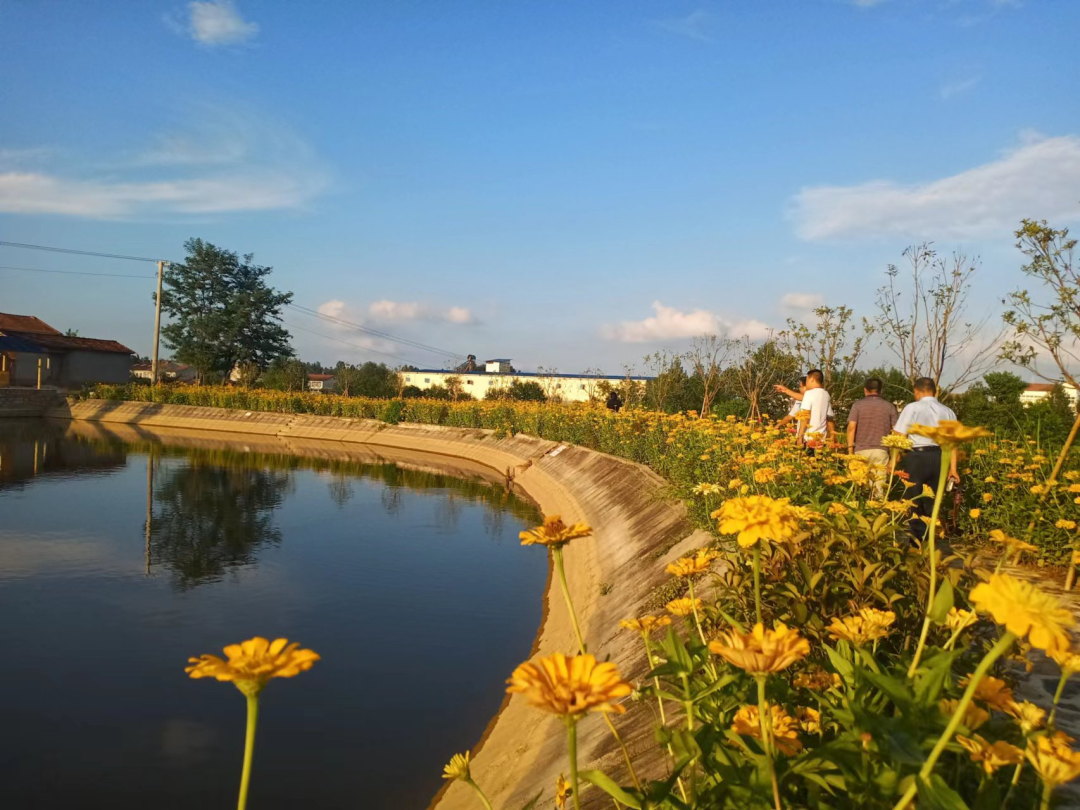 洪山镇:打造和美乡村,焕颜杜家店