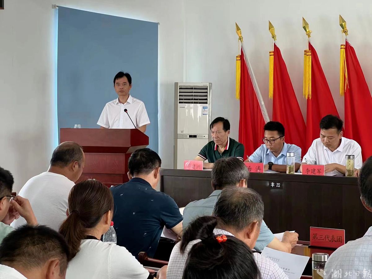 孝昌这个镇有个桃源梦