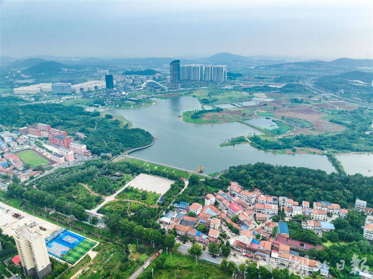 DJI_0596.jpg