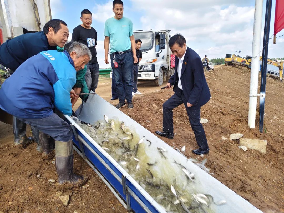 清流养殖的简单介绍 清流养殖的简单

先容
（清流县水产养殖基地） 养殖