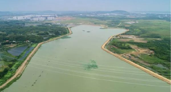 武汉新城这个湖水质更清、湖面更宽，将建10余公里环湖道路 - 湖北日报新闻客户端