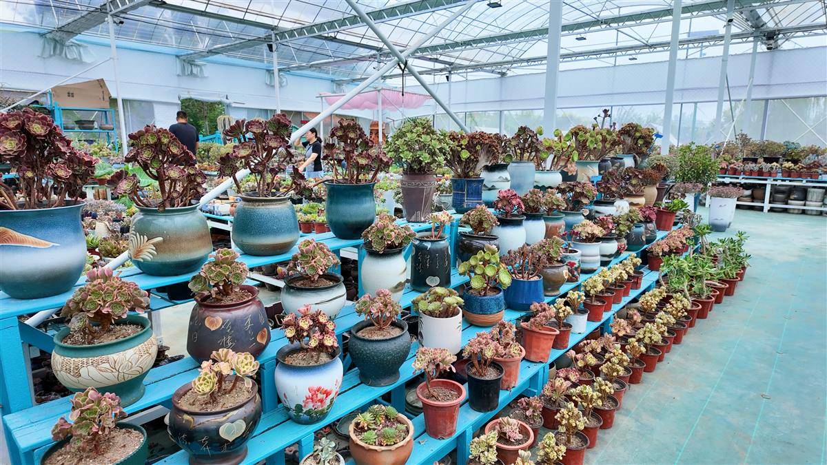 微信图片_20251014174949_217_212.jpg 微信图片_20251014174949_217_212.jpg